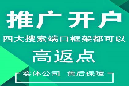 某公司网站sem托管项目纪实